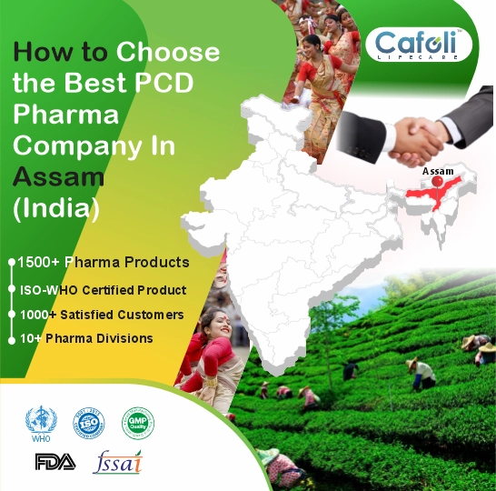 Pcd Pharma Franchise In Assam image