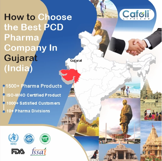 Pcd Pharma Franchise In Gujarat image
