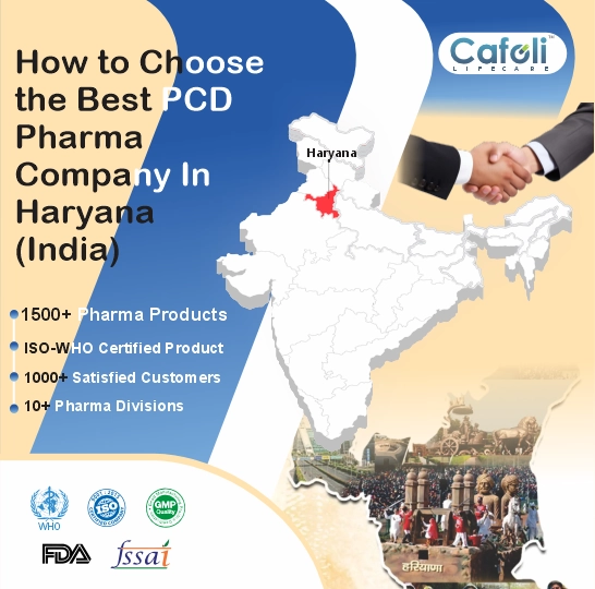 Pcd Pharma Franchise In Haryana image