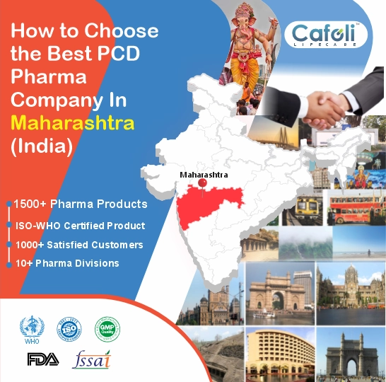 Pcd Pharma Franchise In Maharashtra image