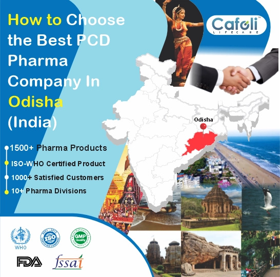 Pcd Pharma Franchise In Odisha image