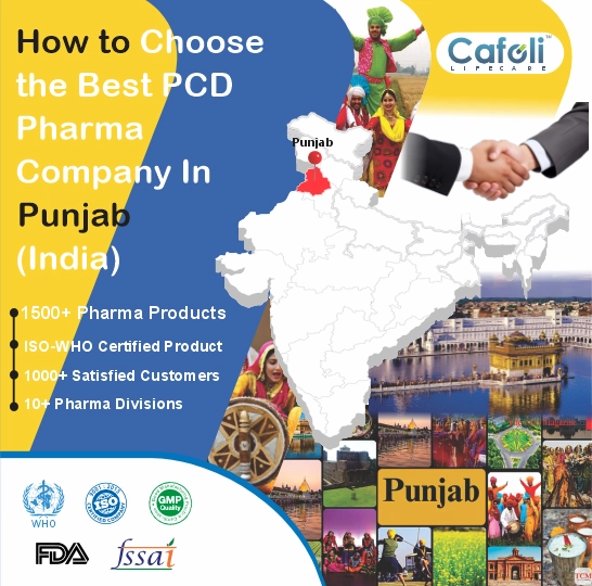 Pcd Pharma Franchise In Punjab image