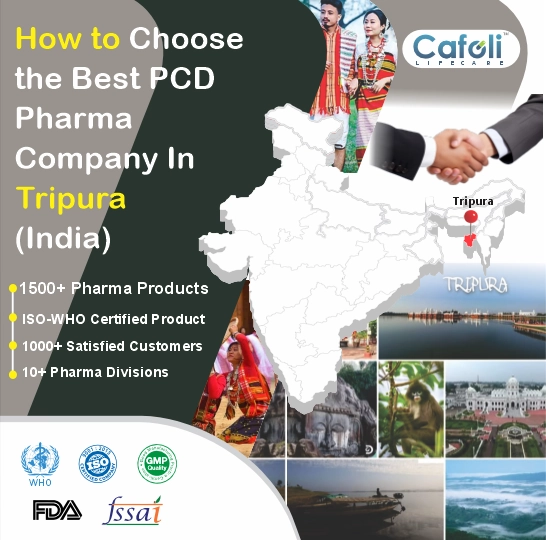 Pcd Pharma Franchise In Tripura 2nd image