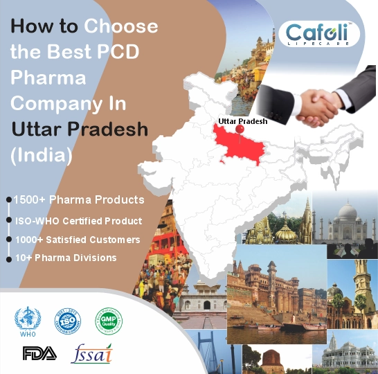 Pcd Pharma Franchise In Uttar Pradesh image