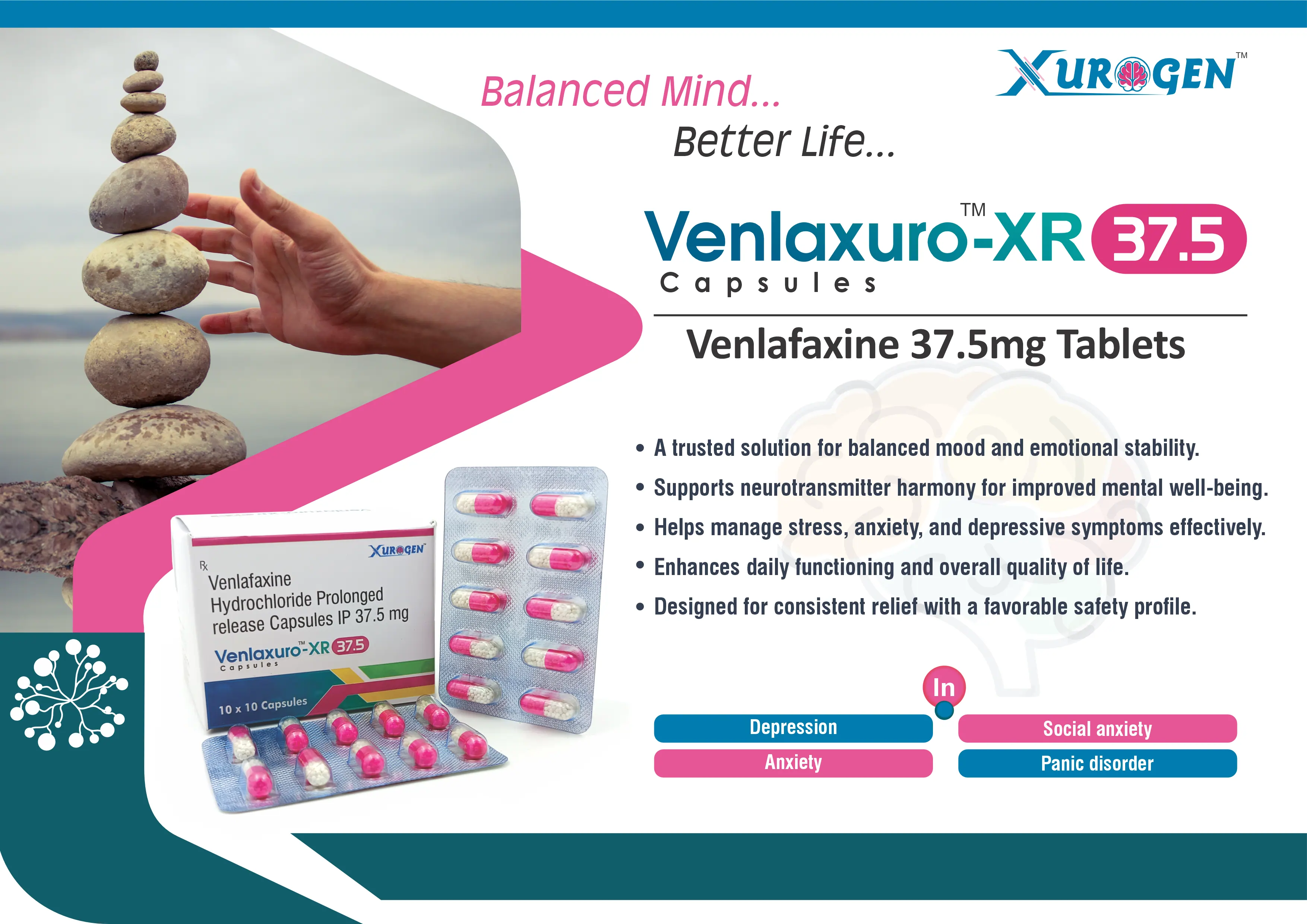 can l-carnitine and venlafaxine interactions: What not to mix with L-carnitine? Crucial guide All day FAT LOSS Stimulant Free Energy Boosts More Endurance And Performance Venlafaxine dosing guide: Choosing between