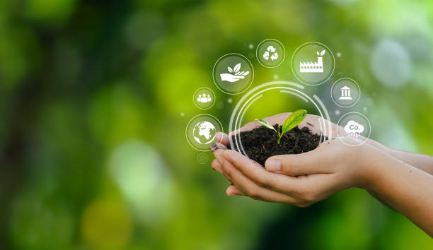 Empowering Health Cafoli